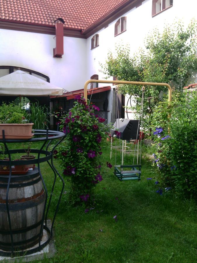 Penzion Patak Kamyk nad Vltavou Exterior foto